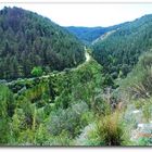 Parco Forestale Demanio Canalazzo a Monterosso Almo