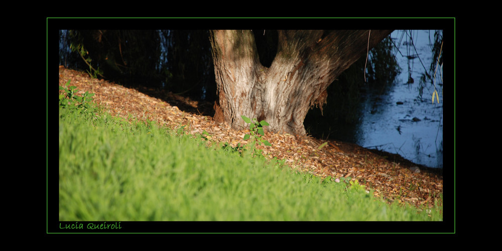 parco forlanini - particolare