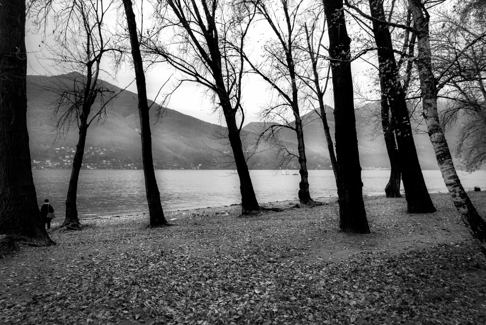 Parco Giona, Maccagno