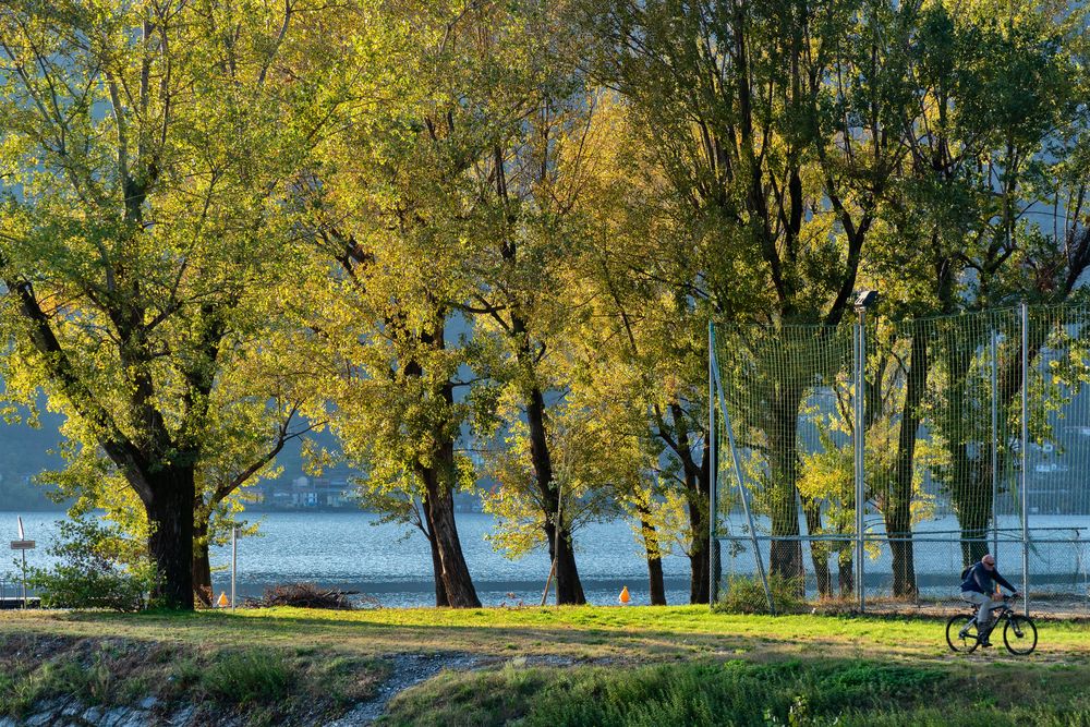 Parco Giona, Maccagno