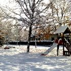 Parco innevato - Panorama