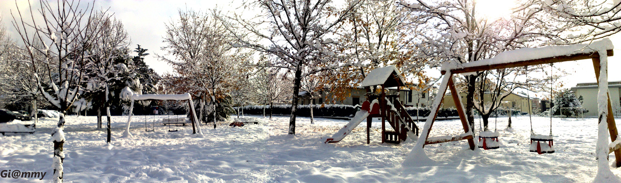 Parco innevato - Panorama