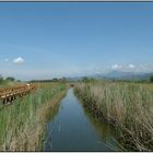 Parco Massaciuccoli