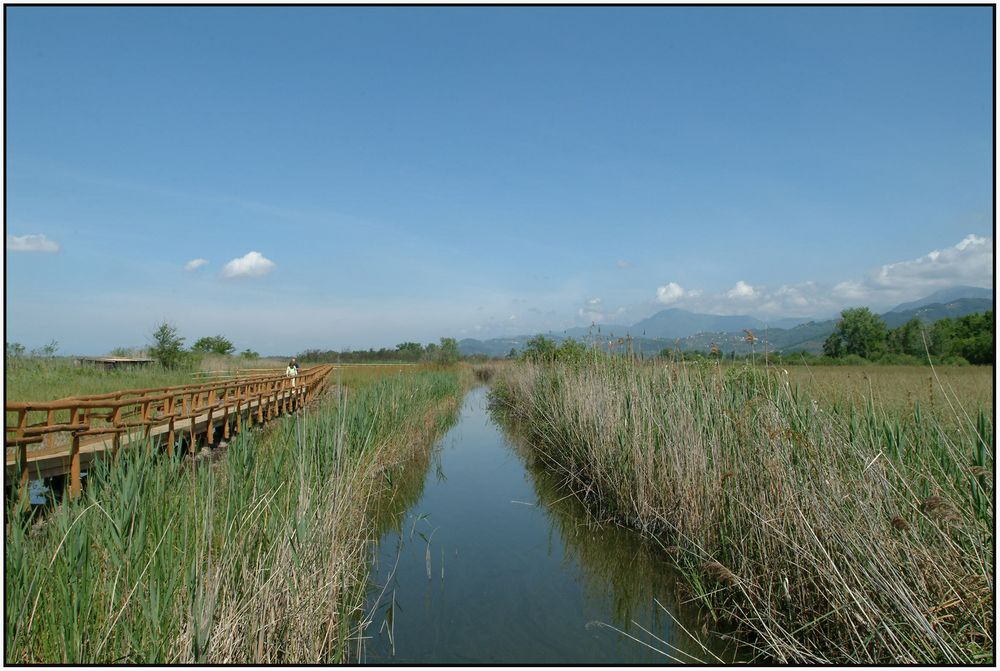 Parco Massaciuccoli