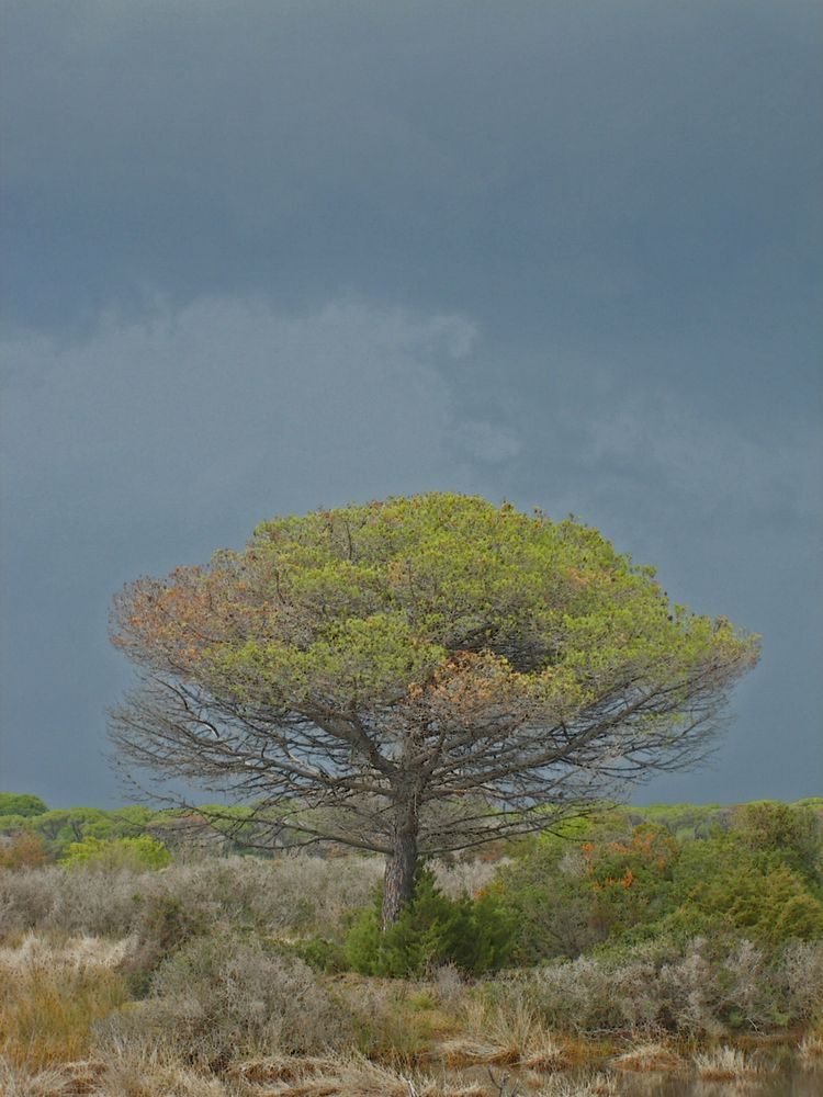 Parco Naturale del Maremma