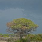 Parco Naturale del Maremma