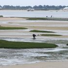 Parco Naturale del Rio Formosa