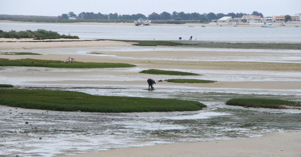 Parco Naturale del Rio Formosa