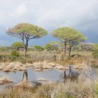 Parco Naturale della Maremma