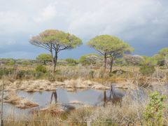 Parco Naturale della Maremma