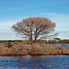 Parco Naturale della Maremma 