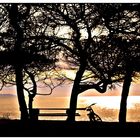 Parco Naturale Dell'Uccellina - Maremma Grosseto