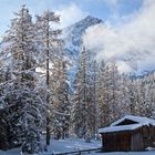 Parco Naturale Dolomiti Sesto 3