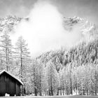 Parco Naturale Dolomiti Sesto 3