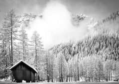 Parco Naturale Dolomiti Sesto 3