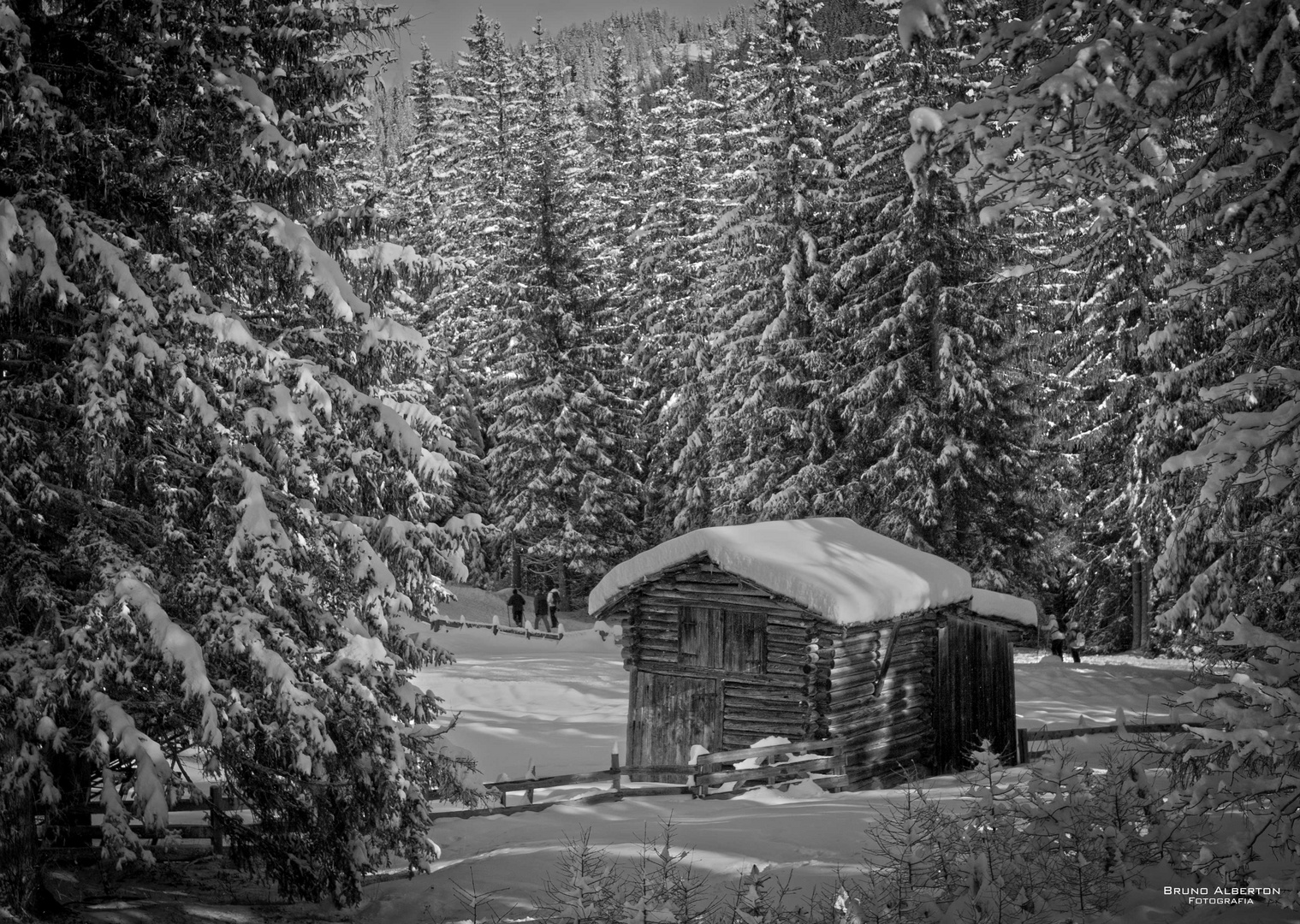 Parco Naturale Dolomiti Sesto