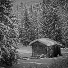 Parco Naturale Dolomiti Sesto