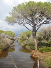 Parco Naturalle della Maremma_2