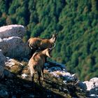 Parco nazionale Abruzzo Lazio e Molise