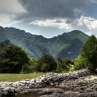 Parco Nazionale d'Abruzzo