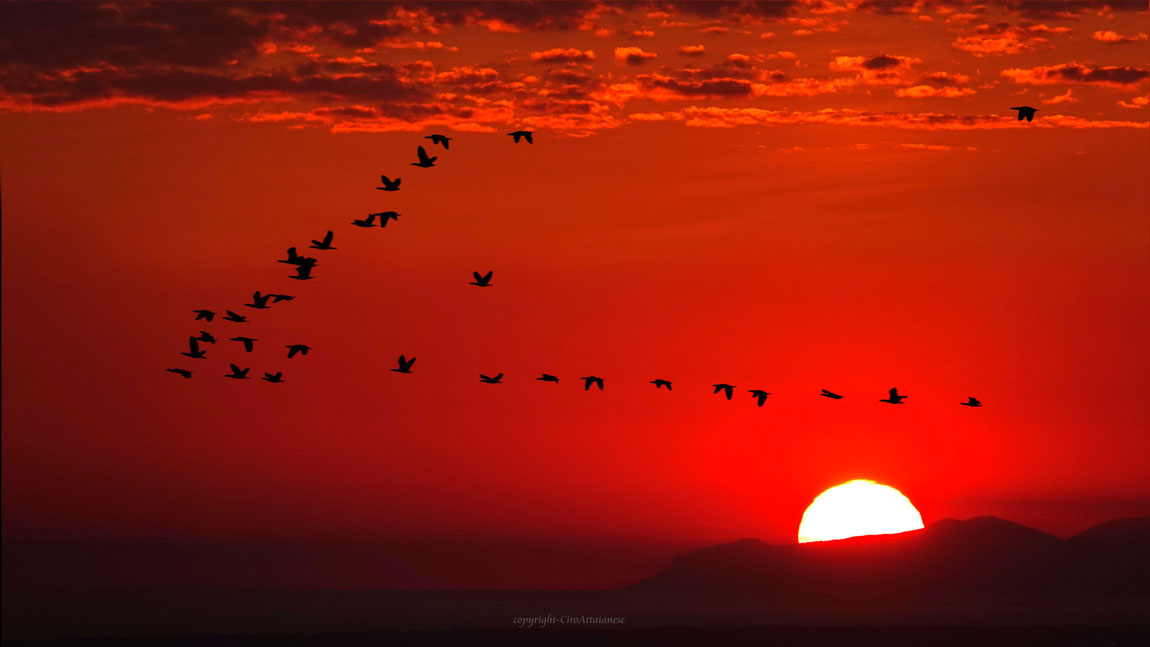 Parco-Nazionale-del-Vesuvio-tramonto-2web-CIR05170