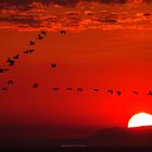 Parco-Nazionale-del-Vesuvio-tramonto-2web-CIR05170