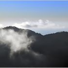 Parco Nazionale delle Cinque Terre