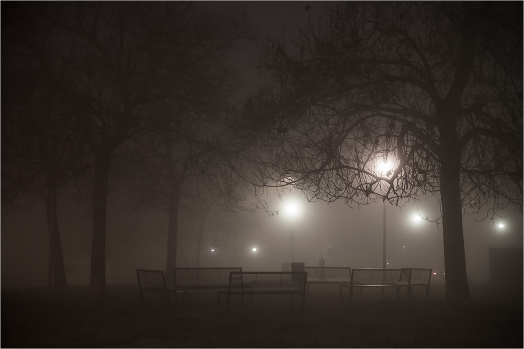 Parco nella nebbia