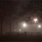 Parco nella nebbia