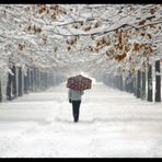 Parco Nord Milano