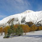 Parco Orsiera Rocciavrè