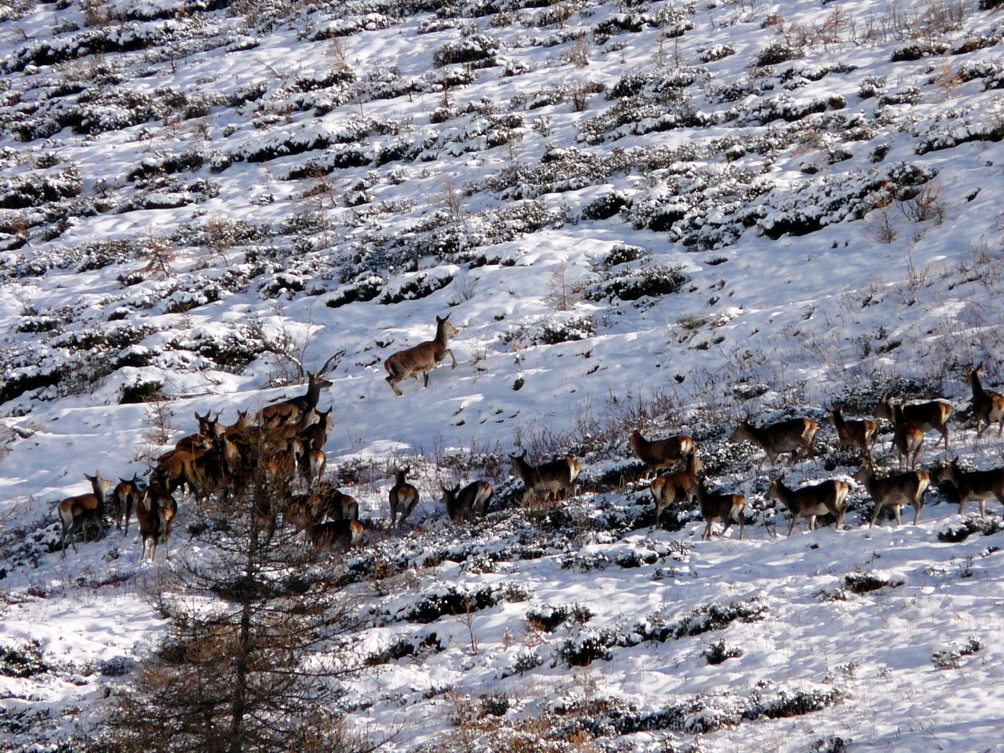 Parco Orsiera Rocciavrè