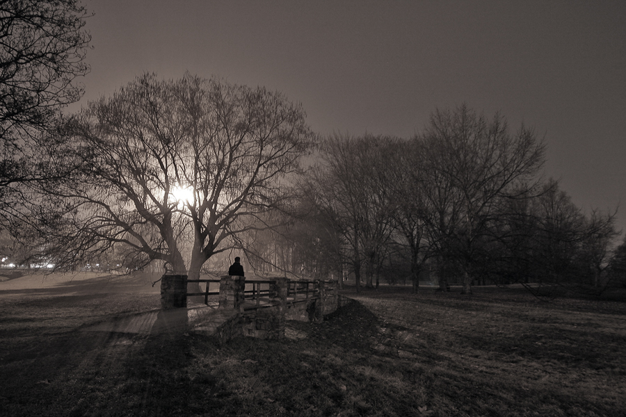 Parco Pellerina, Torino