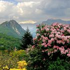 Parco San Grato im Tessin