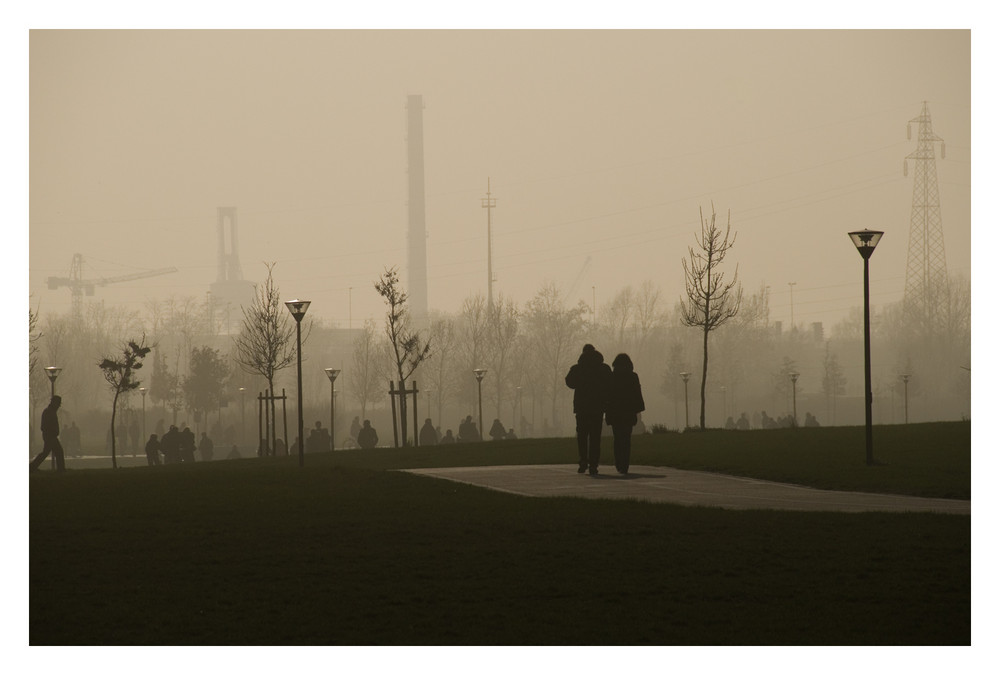 Parco S.Giuliano Venezia : tramonto nella nebbia..