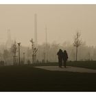 Parco S.Giuliano Venezia : tramonto nella nebbia..