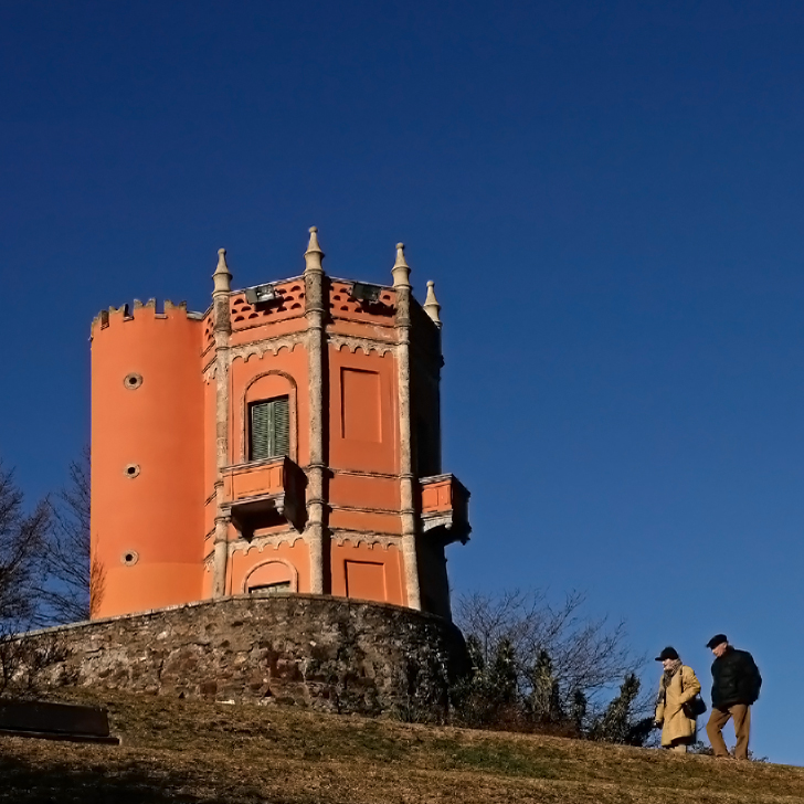 Parco Tassino