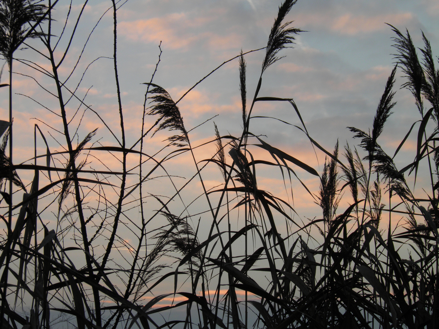 parco urbano al tramonto