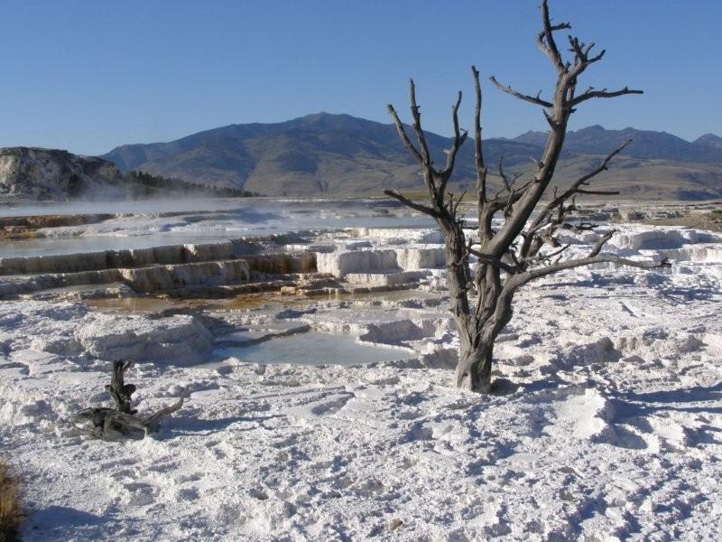 Parco Yellowstone - Mammoth Hot Spring