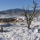 Parco Yellowstone - Mammoth Hot Spring