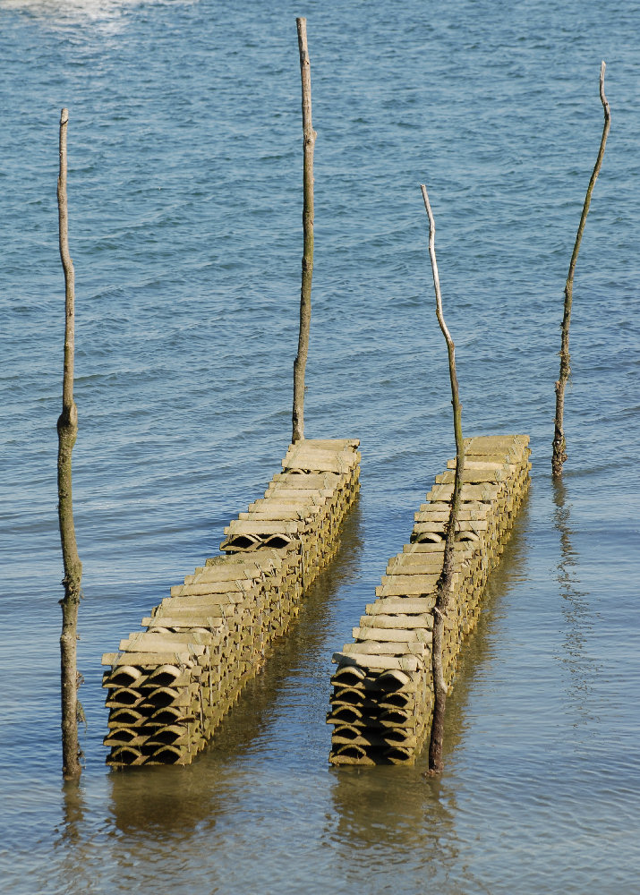 Parcs à marée basse