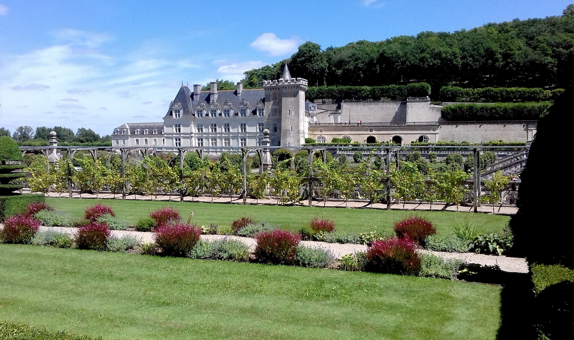 Parcs et Château de Villandry 