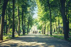 Parcul Stefan cel Mare