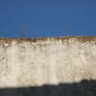 pared