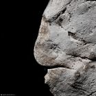 Pareidolia in Rock 21-5