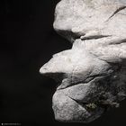 Pareidolia in Rock 23-4