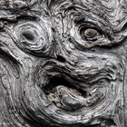 Pareidolie in Holz 22-18