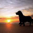 Parçeiro Toni / Abricó Beach - Rio de Janeiro