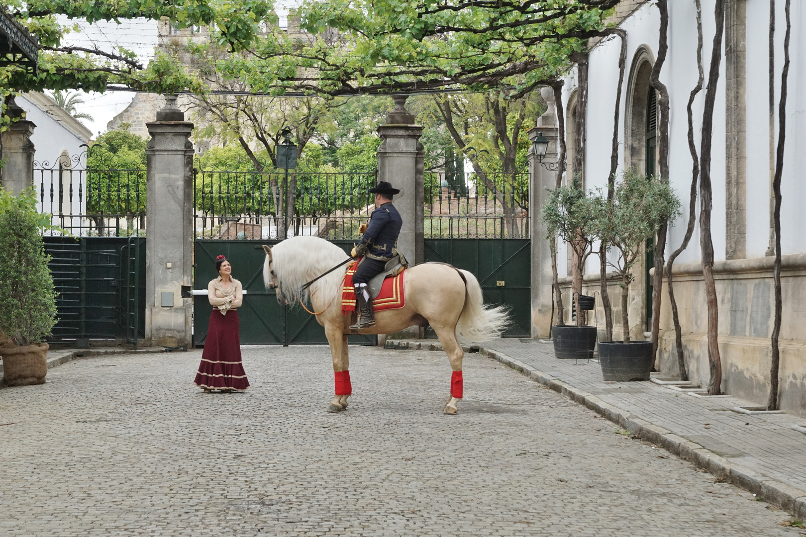 Pareja jerezana