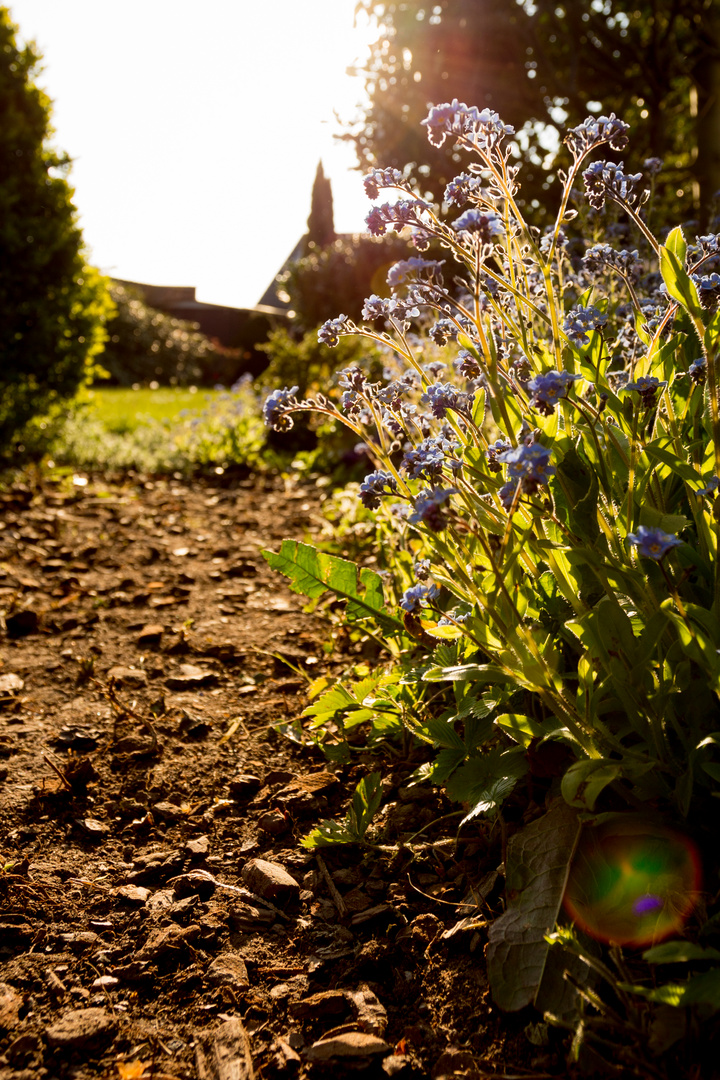 Parents` Garden